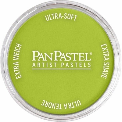 PanPastel Artists suchý pastel 660.5 chromium oxide green