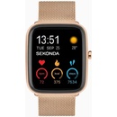 Sekonda Motion Plus