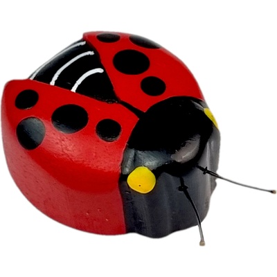 2Kids Toys Drevená magnetka veľká Lienka