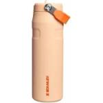 STANLEY 1913 Flip Straw 2.0 Drinking Bottle with Straw 0.7L - Thermal Mug Cools for 10 Hours - 3 Days Ice Cold - BPA Free - Leakproof - For Drink Holders - Dishwasher Safe - Orange Sherbert - 100000127824