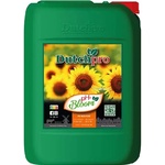 Dutchpro pH- Bloom 10L