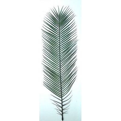 Umelý palmový list Phoenix plast - 10kusov, 100cm