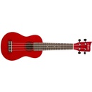 Ashton UKE 110