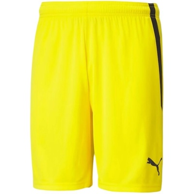 Puma teamLiga M