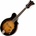 Tanglewood TWMF