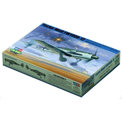 Hobby Boss Focke-Wulf FW 190 D-12 1:48