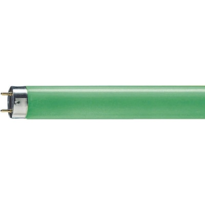 Philips Zářivka TL-D 36W 17 zelená T8 G13 120cm 4300Lm