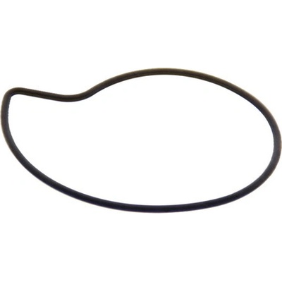 Piaggio Těsnění vodní pumpy Piaggio 125-300 485080 – Sleviste.cz