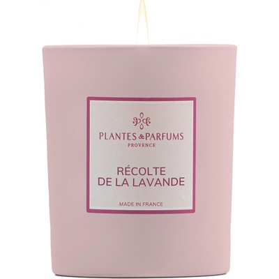 Plantes et Parfums de Provence Récolte de la Lavande 180 g