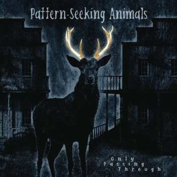 Pattern-Seeking Animals - Only Passing Through LP