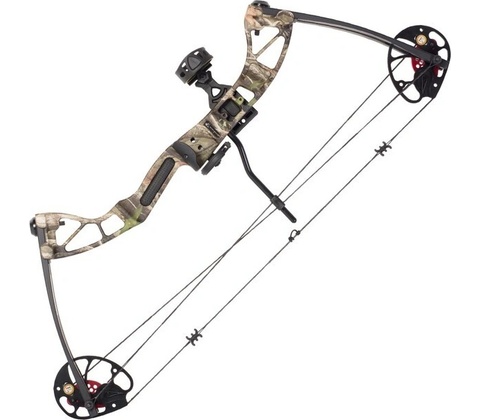 Ek ARCHERY REX