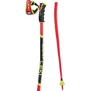 Leki WCR GS 3D 2021/22