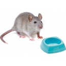 SAVIC miska plastová Nibble 8 x 8 x 3,5 cm