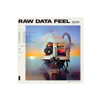 Everything Everything - Raw Data Feel Cl LP
