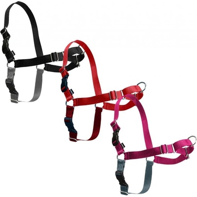 PetSafe Postroj EasyWalk