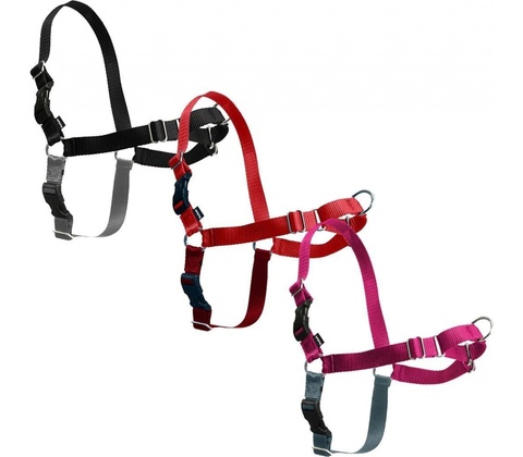 PetSafe Postroj EasyWalk