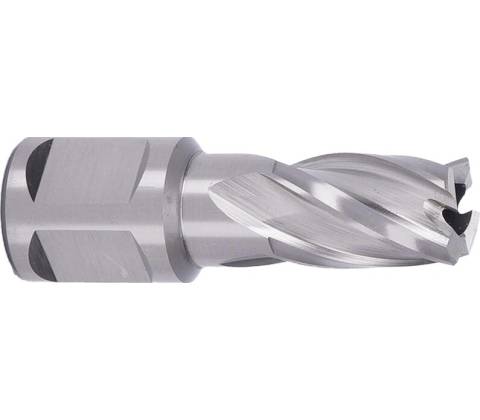 ABSE N-HS-W19-0130025
