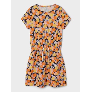 NAME IT Рокля nkfjinnia ss dress pb (261484404057)