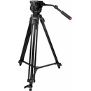 Kingjoy VT2100L