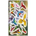 Ranok Creative Parrot Stickers