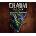 Chasm: The Rift