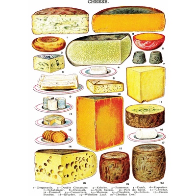 New York Puzzle Company - Puzzle Cheese XXL - 500 piese