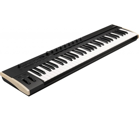 Korg Keystage 61