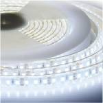 Lightex КОМПЛЕКТ led ЛЕНТА 4.8w/m 6000k ip20 5М (3800883145587)