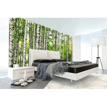 DIMEX ART Самозалепваща се флизелинова фототапета брезова гора 375 x 250 см