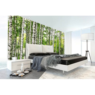 DIMEX ART Самозалепваща се флизелинова фототапета брезова гора 375 x 250 см
