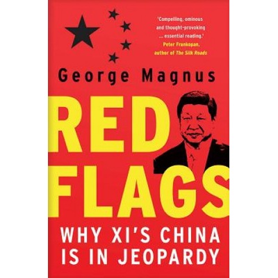Red Flags | George Magnus