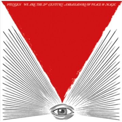 We Are the 21st Century Ambassadors Foxygen