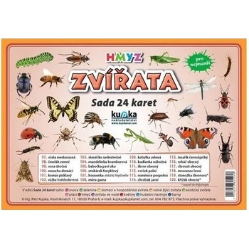Zvířata hmyz - Sada 24 karet - Kupka a kolektiv Petr