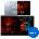 Sounds Online Hollywood Tec 3 Bundle (Дигитален продукт)