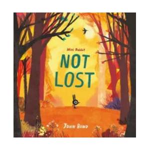 Mini Rabbit Not Lost (ISBN: 9780008264840)
