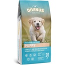 Divinus Puppy 20 kg