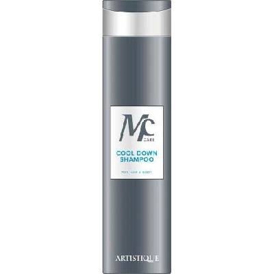 Artistique Men Care Cool Down Shampoo 250 ml