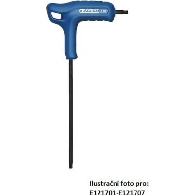 Tona Expert s T-rukojetí T-klíč zástrčný torx T10 E121701