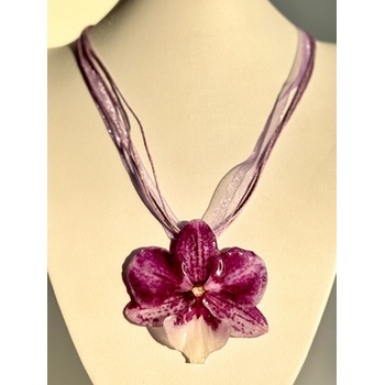 Meganflo Тигрово лилава орхидея