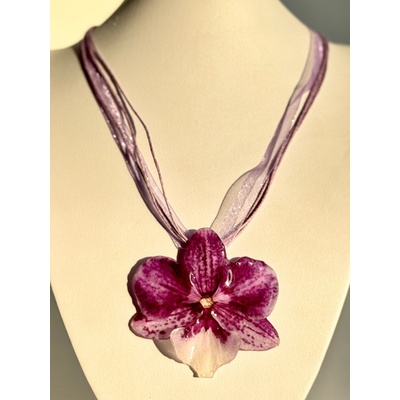 Meganflo Тигрово лилава орхидея