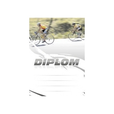 Diplom 6642