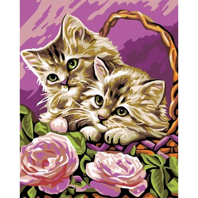 zuty Malování podle čísel Koťata v košíku a růžové růže 80 x 100 cm bez rámu a bez vypnutí plátna 8596530019589