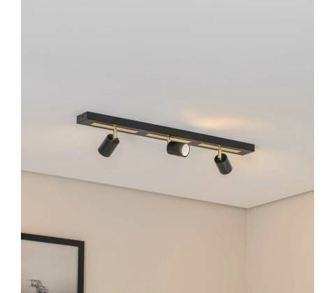 Luminex 1663
