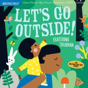 Lets Go Outside (ISBN: 9781523509867)