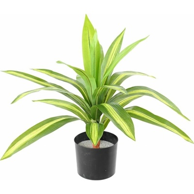 Umelá palma Dracena, 55cm