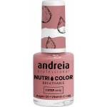 Andreia Professional Nutri Color Care & Color NC12 10,5 ml