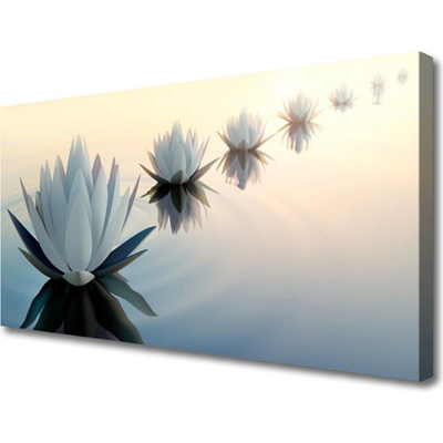 Obraz Canvas Vodné lilie biely lekno 100x50 cm