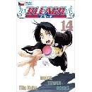 Bleach 14: White Tower Rocks