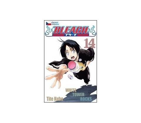 Bleach 14: White Tower Rocks