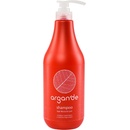 Stapiz Argan'de Moist & Care Shampoo hydratační šampon s arganovým olejem 1000 ml